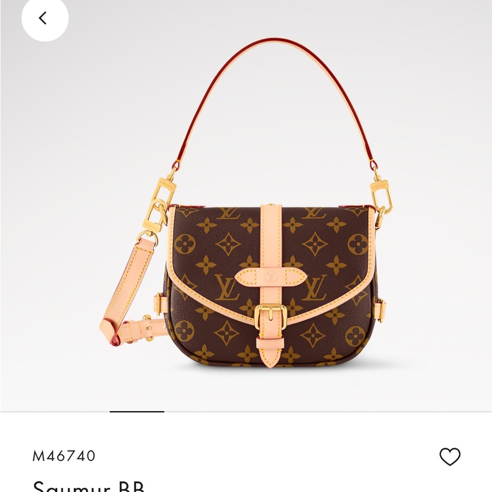 Louis Vuitton Monogram Saddle Shoulder Bag in Brown and Natural